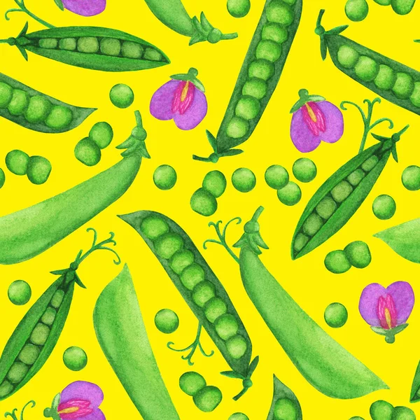Хороший акварельный рисунок зеленого горошка без колючек — стоковое фото