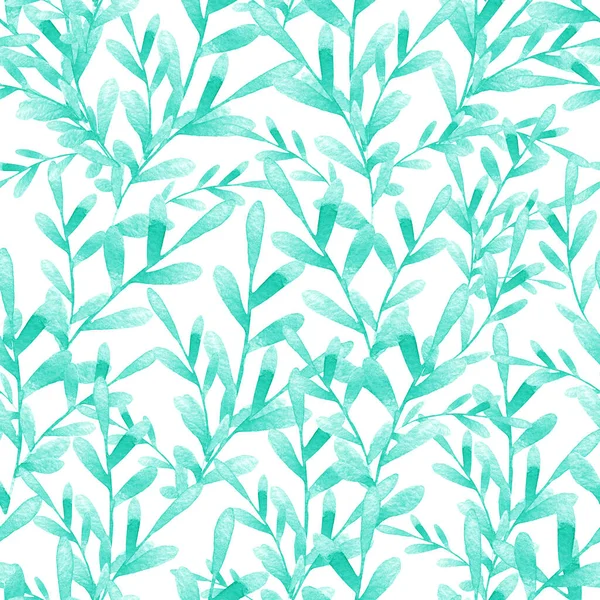 Акварельні сині зелені водорості на білому тлі — стокове фото