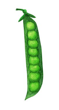 Yeşil bezelye ve yuvarlak fasulye.