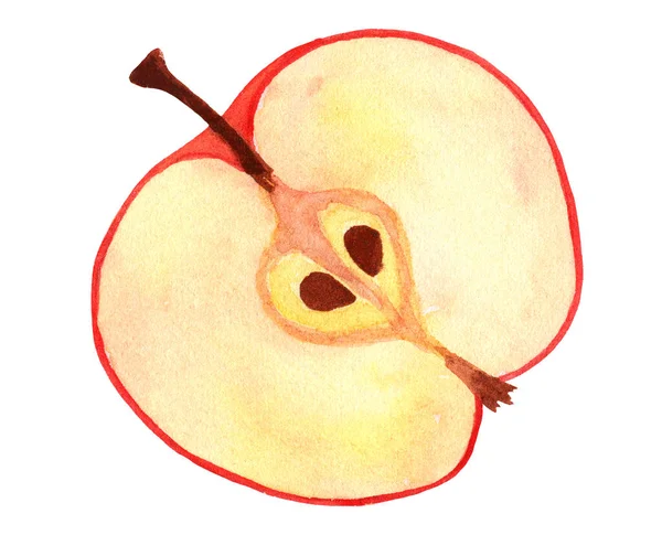 Φρέσκο μήλο με σπόρους. Καρποί ακουαρέλας απομονωμένοι σε λευκό φόντο — Φωτογραφία Αρχείου