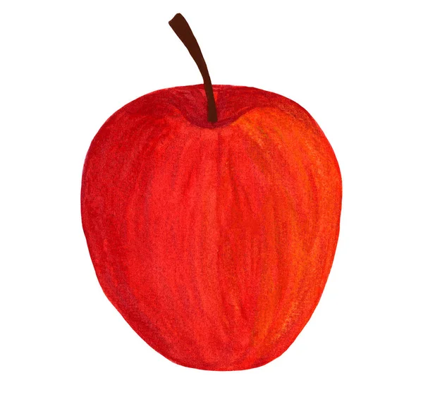 Świeże całe jabłko. Akwarela Czerwony galowy owoc jabłka izolowane na białym tle — Zdjęcie stockowe