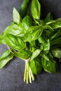 gri taş zemin üzerine taze fesleğen demet