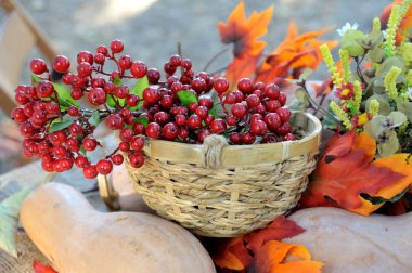 Turuncu kabak ve kızılcık dalları 