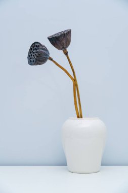 Bir vazoda iki kurumuş nilüfer çiçeği.