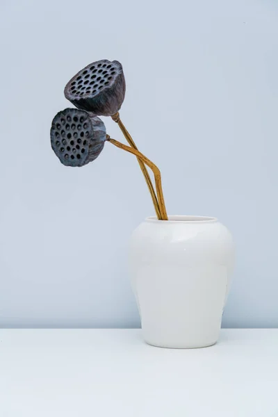 Zwei Verwelkte Lotuspflanzen Einer Vase — Stockfoto
