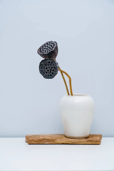 2つの枯れた蓮の植物は白い磁器の鍋に挿入された 現代のミニマリストの家の蓮 — ストック写真