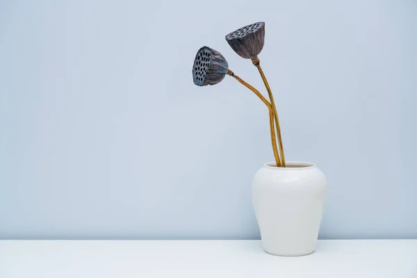 Duas Plantas Lótus Murchas Num Vaso — Fotografia de Stock