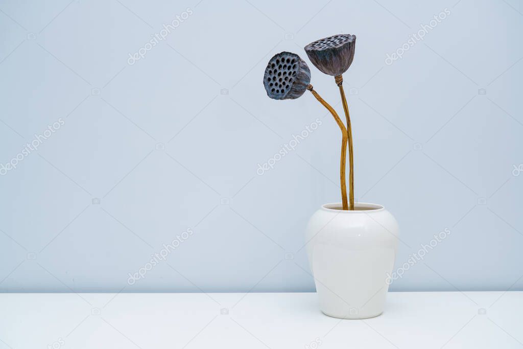 Two withered lotus plants were inserted in white porcelain pots. The lotus in the modern minimalist home
