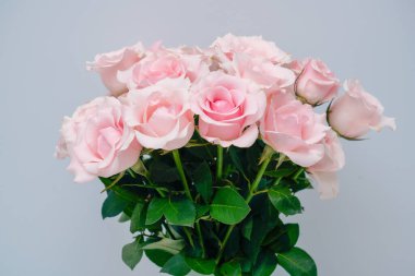 Bir demet pembe gül Gri bir arkaplan önünde çiçeklenir