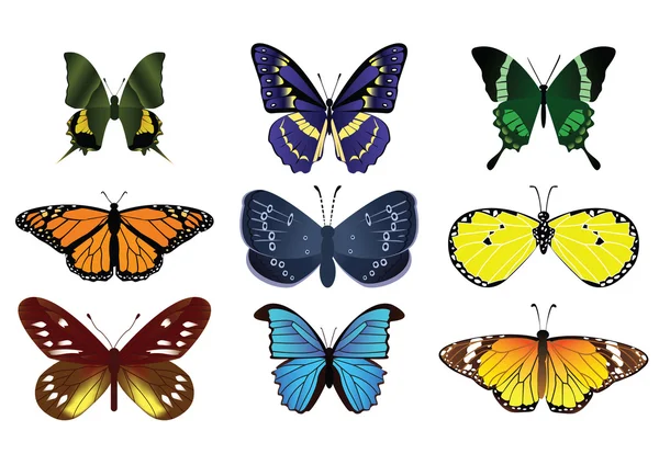 Πεταλούδες — Διανυσματικό Αρχείο