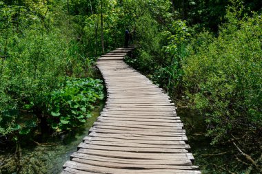 Hırvatistan 'ın Plitvice Gölleri Ulusal Parkı' ndaki ahşap yol