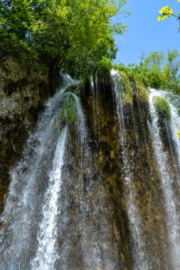 Hırvatistan 'daki Plitvice Gölleri Ulusal Parkı' nda göller ve şelaleler