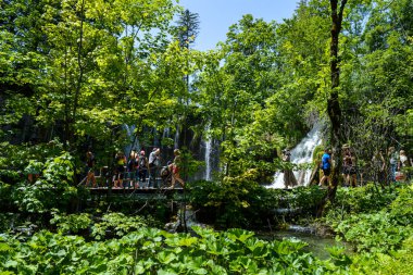 PLITVICE Gölü, CROATIA - 8 Haziran 2019 'da Hırvatistan' ın Plitvice Lakes Ulusal Parkı 'ndaki şelale boyunca tahta patika