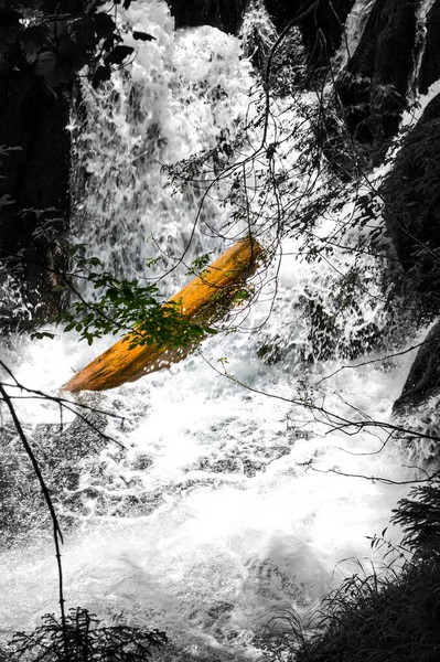 Jezera Vodopády Národním Parku Plitvická Jezera Chorvatsko — Stock fotografie