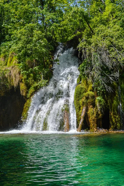 Jezera Vodopády Národním Parku Plitvická Jezera Chorvatsko — Stock fotografie