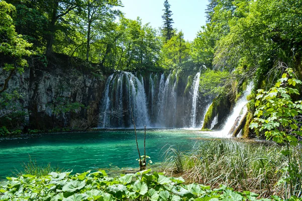 Lacs Chutes Eau Dans Parc National Des Lacs Plitvice Croatie — Photo