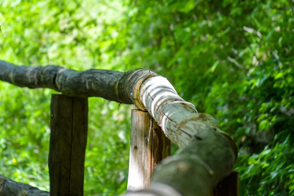 Wood Fence Plitvice Lakes National Park Croatia — Stock Photo, Image
