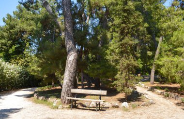 ATİNA, GREECE - 23 Haziran 2017 'de Yunanistan' ın Atina kentindeki parlamento yakınlarındaki Ulusal Bahçe. 