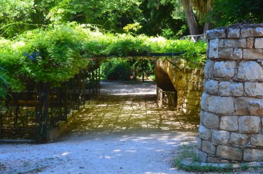 ATİNA, GREECE - 23 Haziran 2017 'de Atina, Yunanistan' da Ulusal Bahçe. 