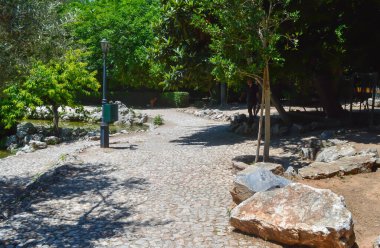 ATİNA, GREECE - 23 Haziran 2017 'de Atina, Yunanistan' da Ulusal Bahçe. 