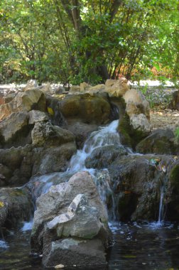 ATİNA, GREECE - 23 Haziran 2017 'de Atina, Yunanistan' da Ulusal Bahçe. 