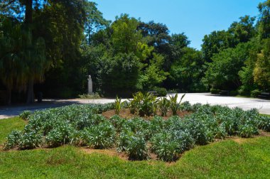 ATİNA, GREECE - 23 Haziran 2017 'de Atina, Yunanistan' da Ulusal Bahçe. 