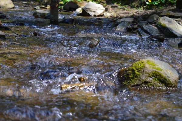 Torrente Montagna Scorre Nei Carpazi — Foto Stock