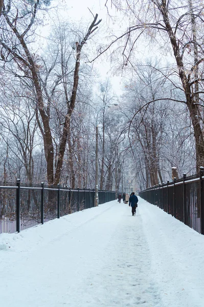 Kiew Ukraine Januar 2019 Straßen Und Autos Nach Schneesturm Kiew — Stockfoto