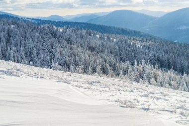 Zakhar Berkut Dağı 'ndan panoramik manzara, Karpat Dağları, Ukrayna. Yatay açık hava çekimi
