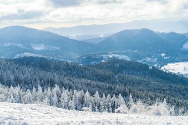 Zakhar Berkut Dağı 'ndan panoramik manzara, Karpat Dağları, Ukrayna. Yatay açık hava çekimi