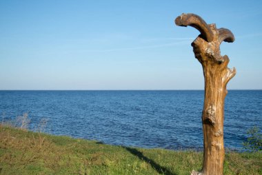 Kyiv Denizi kıyısındaki ahşap sütun