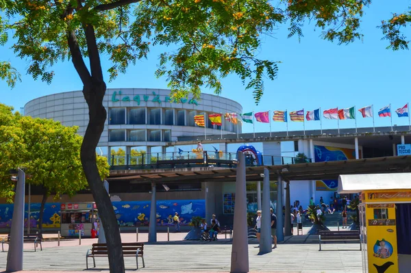 Barcelona Espanha Junho City Tour Hop Hop Bus Barcelona Espanha — Fotografia de Stock