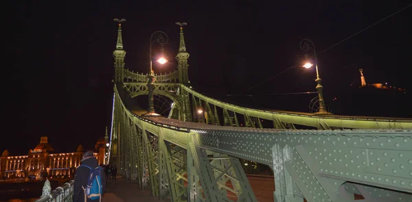 Budapest Hungary December 2017 Night Liberty Bridge Danube Budapest Грудня — стокове фото