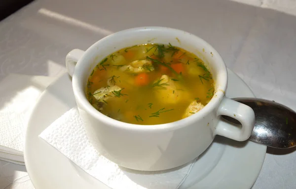 Fresh Chicken Soup Fennel — Stock Photo, Image