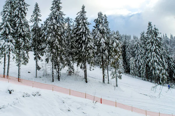 Chemin Vers Montagne Zakhar Berkut Montagnes Des Carpates Ukraine Plan — Photo