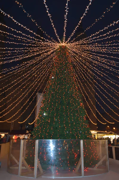 Budapest Hungria Janeiro 2018 Árvore Natal Frente Basílica Santo Estêvão — Fotografia de Stock