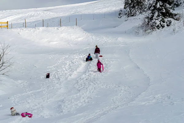 Kiew Slawske Januar 2020 Skifahren Auf Dem Berg Sachar Berkut — Stockfoto