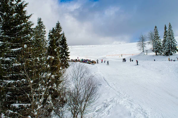 Kyiv Slavske Janeiro 2020 Esqui Montanha Zakhar Berkut Montanhas Dos — Fotografia de Stock