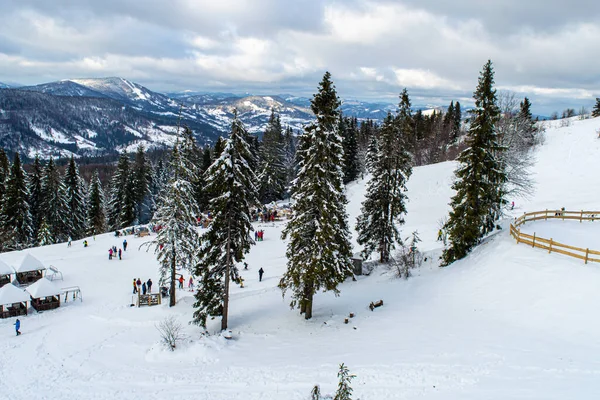 Kyiv Slavskeske 2020年1月1日 2020年1月1日にウクライナのスラフスケにあるカルパティア山脈ザカール バークート山のスキー — ストック写真
