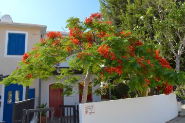 PROTARAS, CYPRUS - 18 Haziran: 18 Haziran 2018 'de Kıbrıs Rum Kesimi' nin Protaras kentindeki geleneksel köy.