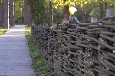 Arka plandaki bahçede ahşap çit var..