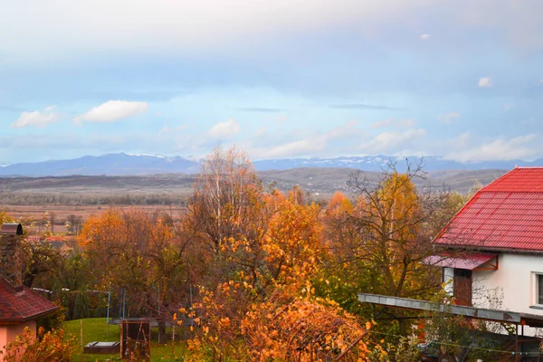 Autumn Garden Snowy Carpathian Mountains Background Ukraine — Stock Photo, Image
