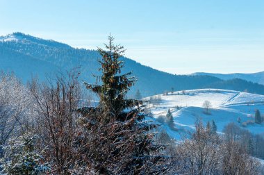 Synevir Hamursuz Bayramı 'ndan panoramik manzara, Karpat Dağları, Ukrayna