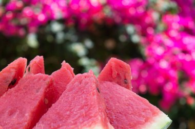 Taze olgun dilimlenmiş karpuz yeşil ağaç zemininde