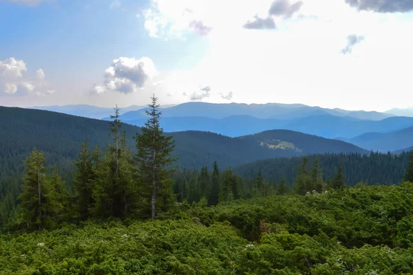 Karpat Dağları, Ukrayna: Bulutlu bir yaz gününde Ukrayna 'nın en yüksek dağı Hoverla' ya giden yol