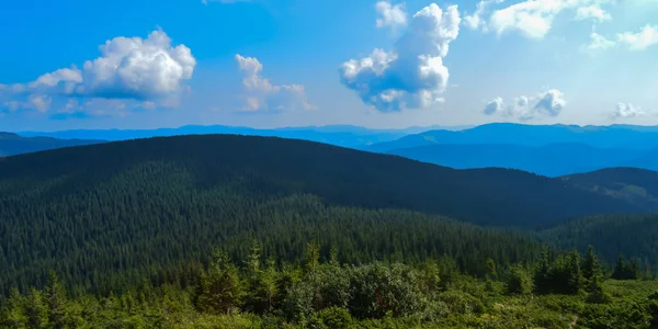 Karpat Dağları, Ukrayna: Bulutlu bir yaz gününde Ukrayna 'nın en yüksek dağı Hoverla' ya giden yol