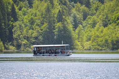 PLITVICE LAKES, CROATIA - 8 Haziran 2019 'da Hırvatistan' ın Plitvice Lakes Ulusal Parkı 'ndaki 
