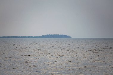 Kyiv Denizi 'ndeki ilkbahar manzarası