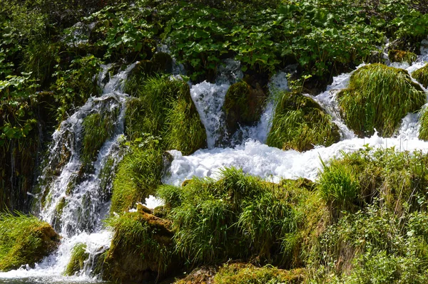 Hırvatistan 'ın Plitvice Lakes Ulusal Parkı' ndaki şelaleler