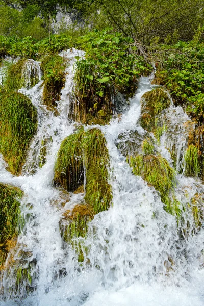 Vízesések Plitvicei Tavak Nemzeti Park Horvátország — Stock Fotó